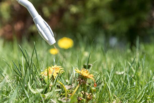 Commercial & Domestic Weed Spraying
