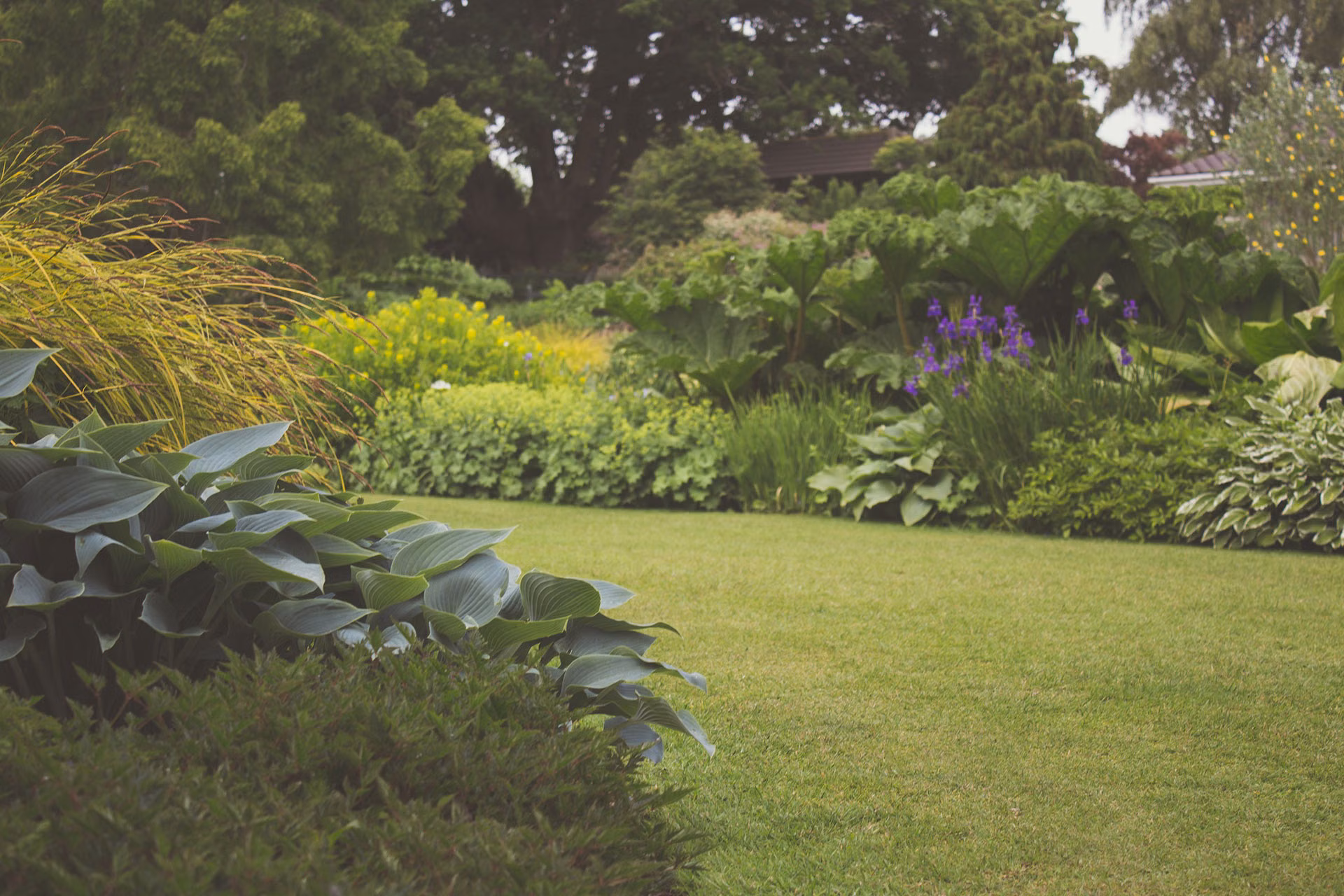 Signs you need planting & borders and what to do next