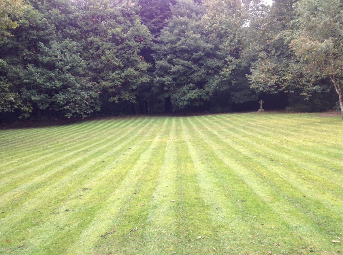 Grass Cutting & Paddock Mowing