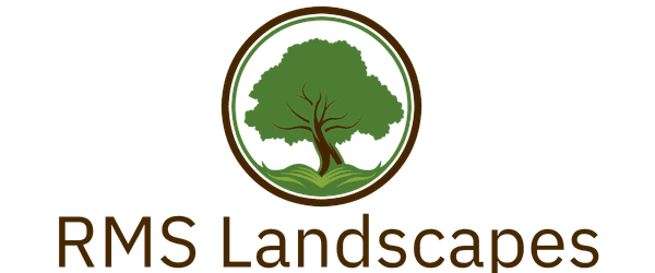 RMS Landscapes